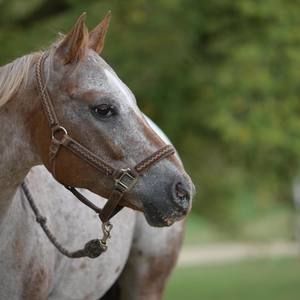 Meet your Posher, Lori